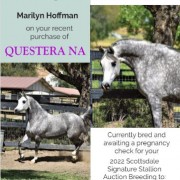 Questera Flyer